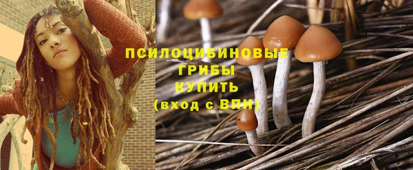 шишки Алексеевка