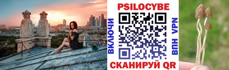 Псилоцибиновые грибы Psilocybine cubensis  Волхов 