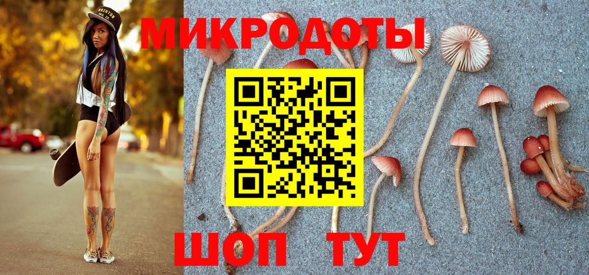 Псилоцибиновые грибы мицелий Волхов